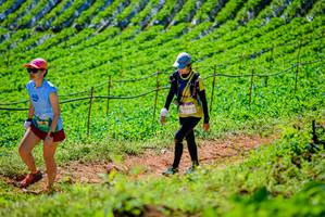 BIB: 
                            <button type="button" onclick="openModal(19163496)" class="btn btn-primary btn-sm float-right btn-popup" data-toggle="modal" data-target=".modal-high-quality">
                        <i class="fas fa-shopping-cart"></i> Add to Cart
                    </button>
                                            <button type="button" onclick="isThisMe(19163496, true)" class="btn btn-success btn-sm float-right btn-popup btn-isme hidden" data-toggle="tooltip" data-placement="bottom" title="นี่คือรูปของคุณใช่ไหม คลิกที่นี่เพื่อเอาเข้าอัลบั้ม">
                        <i class="fas fa-plus"></i> Add to album
                    </button>
                    <button type="button" onclick="isThisMe(19163496, false)" class="btn btn-warning btn-sm float-right btn-popup btn-isnotme hidden">
                        <i class="fas fa-ban"></i> Remove from album
                    </button>